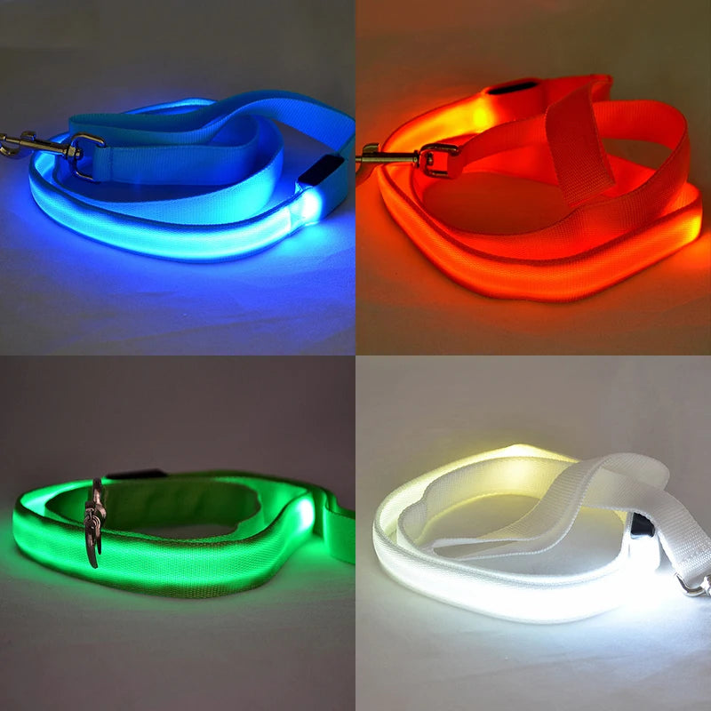 LED Dog Leash Light Nylon Night Safety Leash for Small Dogs and Cats