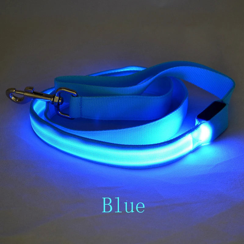 LED Dog Leash Light Nylon Night Safety Leash for Small Dogs and Cats