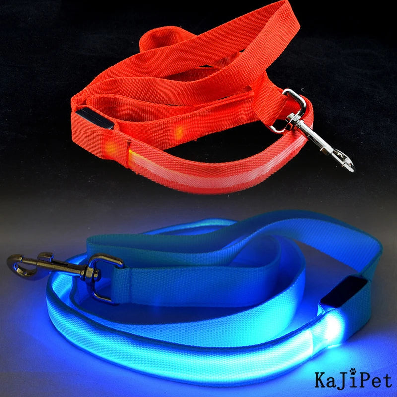 LED Dog Leash Light Nylon Night Safety Leash for Small Dogs and Cats