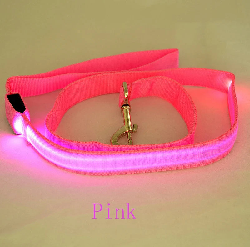 LED Dog Leash Light Nylon Night Safety Leash for Small Dogs and Cats
