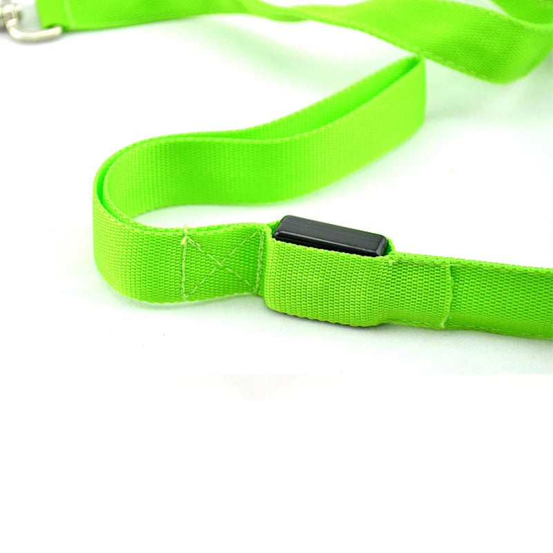 LED Dog Leash Light Nylon Night Safety Leash for Small Dogs and Cats