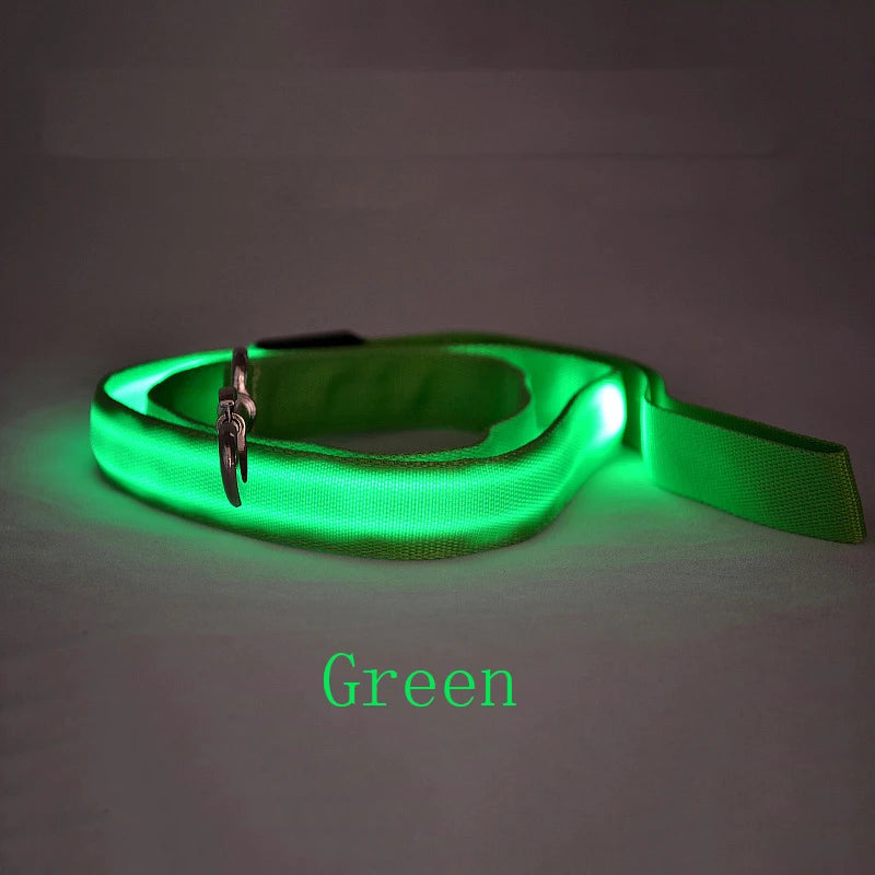 LED Dog Leash Light Nylon Night Safety Leash for Small Dogs and Cats