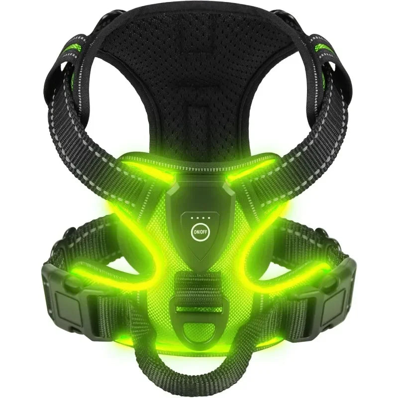 LED Dog Harness with USB Rechargeable Lights for Safe Night Walking