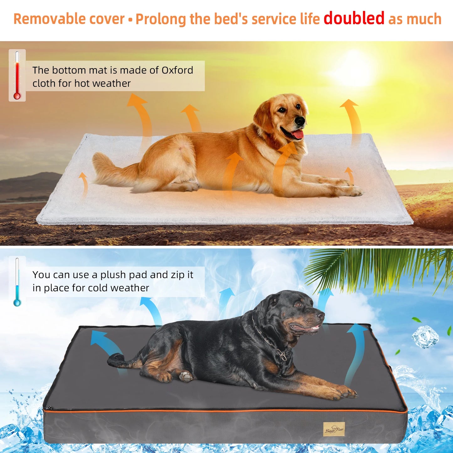 Large Orthopedic Dog Bed with Washable Cover and Padded Foam Cushion