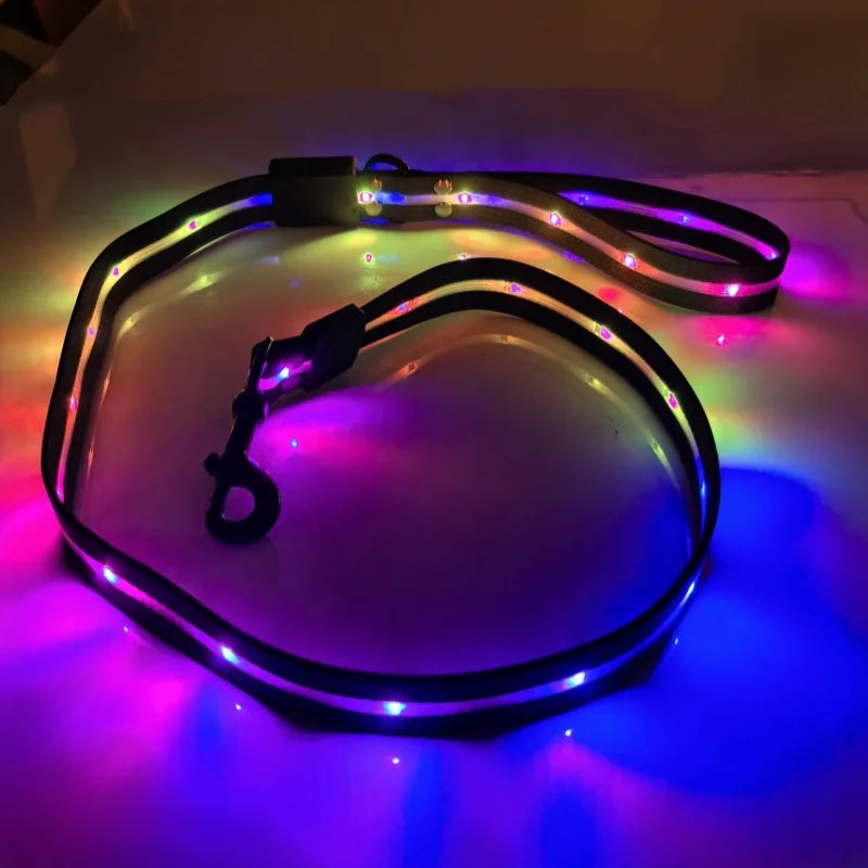 Colorful LED Dog Leash with USB Charging Light for Outdoor Adventures