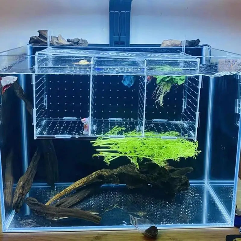 Acrylic Clear Fish Breeder Box For Aquarium Suction Cup