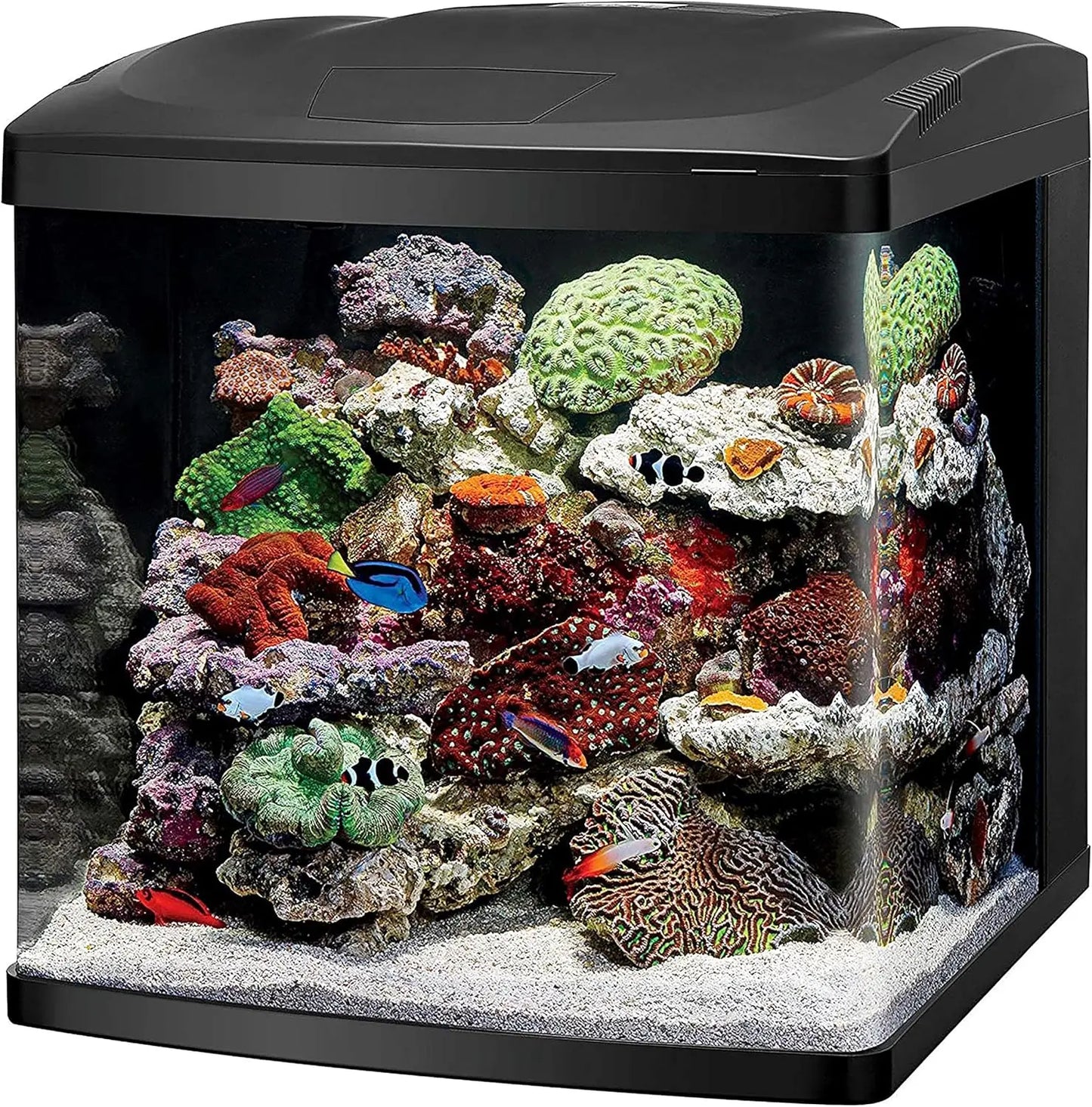 LED 32 Gallon Aquarium Fish Tank Kit for Marine and Plants