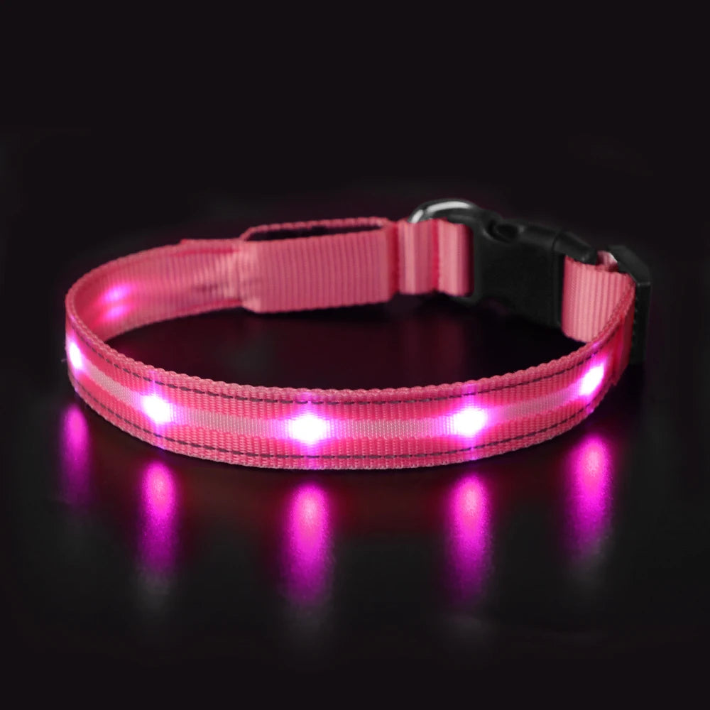 MASBRILL Waterproof LED Dog Collar USB Rechargeable Adjustable Night Safety