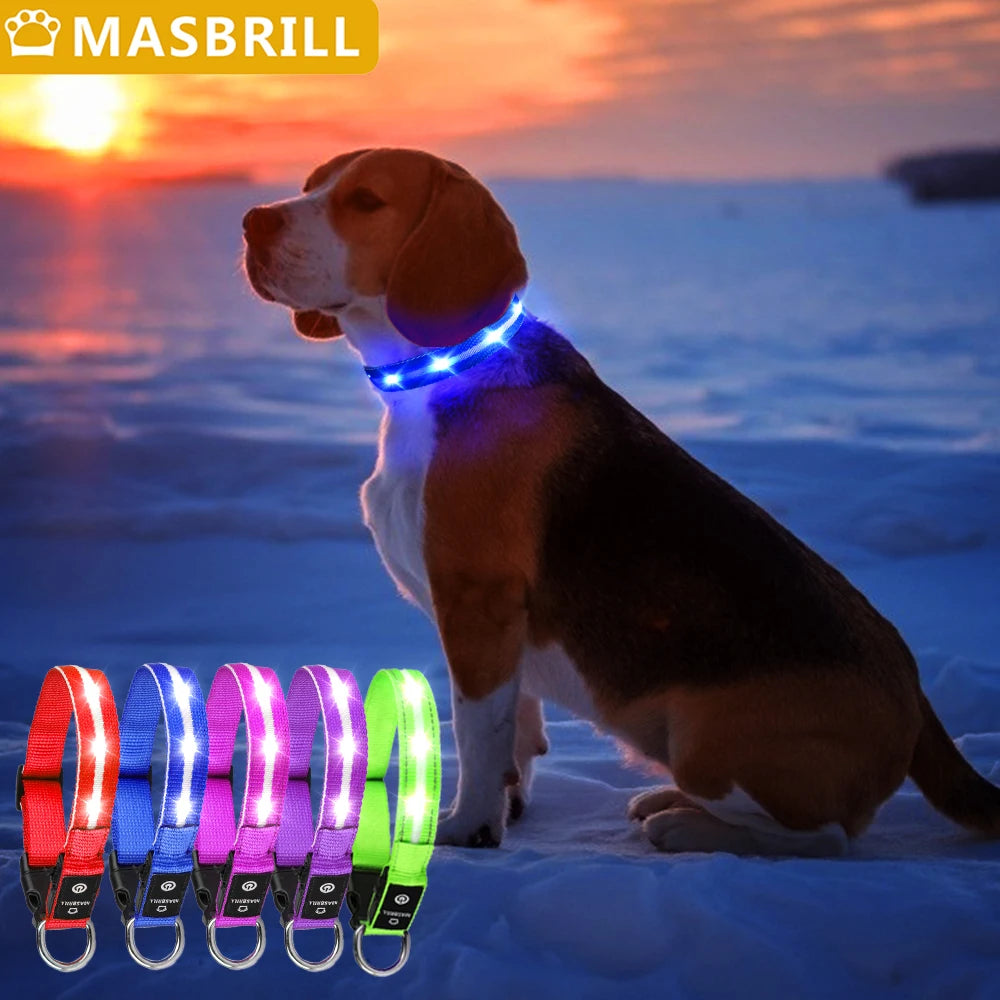 MASBRILL Waterproof LED Dog Collar USB Rechargeable Adjustable Night Safety