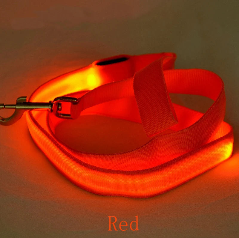 LED Dog Leash Light Nylon Night Safety Leash for Small Dogs and Cats