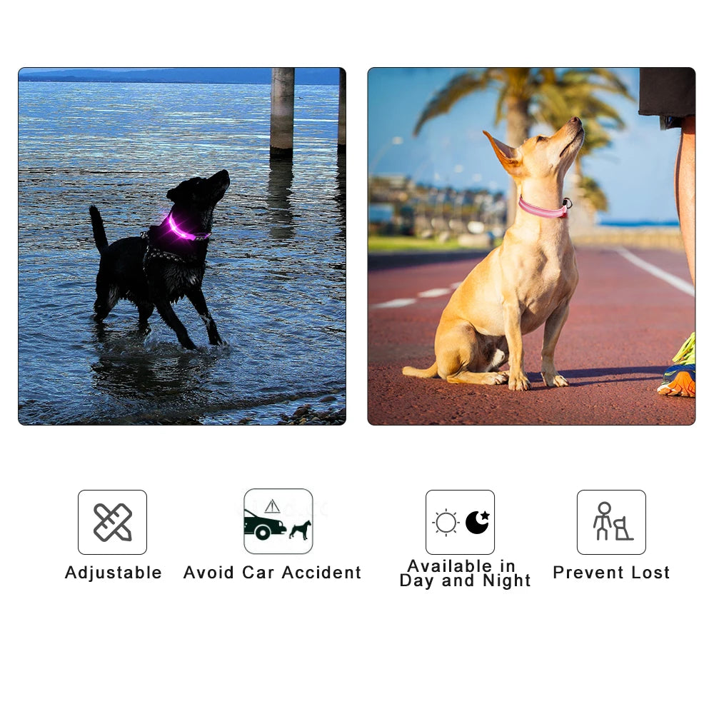 MASBRILL Waterproof LED Dog Collar USB Rechargeable Adjustable Night Safety