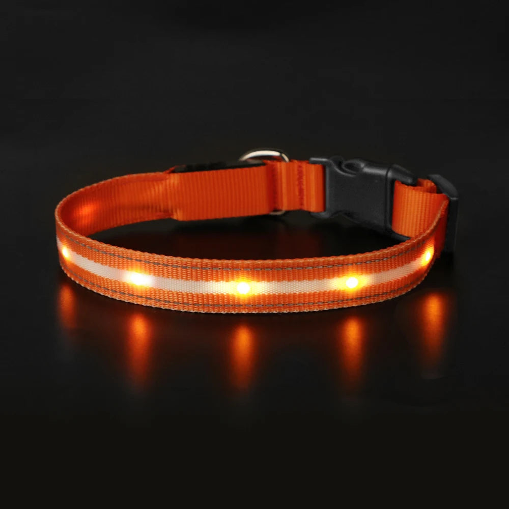 MASBRILL Waterproof LED Dog Collar USB Rechargeable Adjustable Night Safety