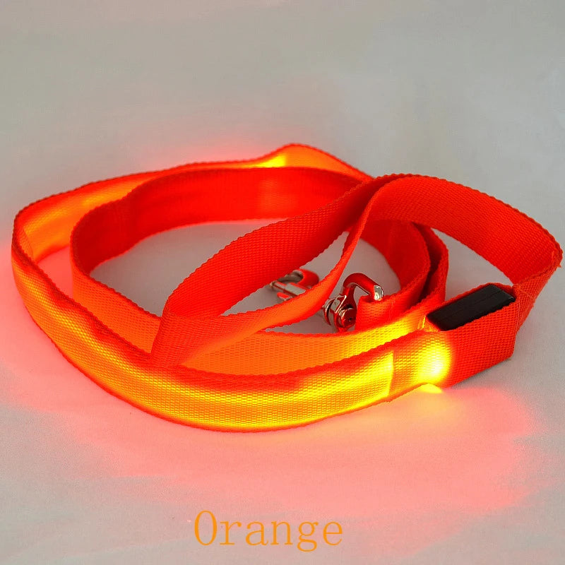 LED Dog Leash Light Nylon Night Safety Leash for Small Dogs and Cats