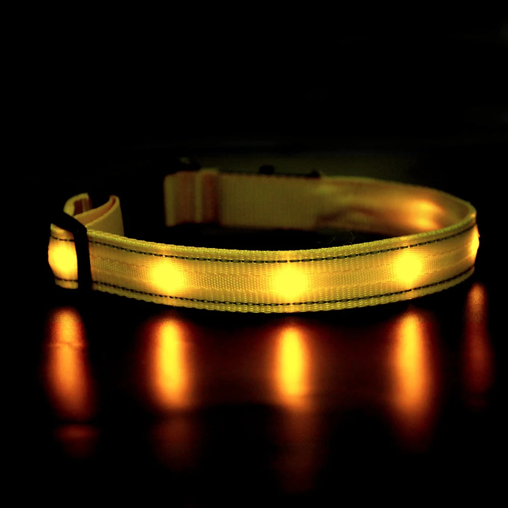 MASBRILL Waterproof LED Dog Collar USB Rechargeable Adjustable Night Safety