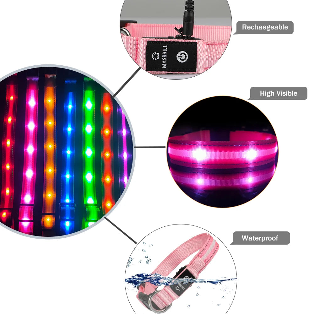MASBRILL Waterproof LED Dog Collar USB Rechargeable Adjustable Night Safety