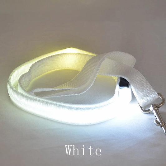 LED Dog Leash Light Nylon Safety Leash for Night Walking with Pets