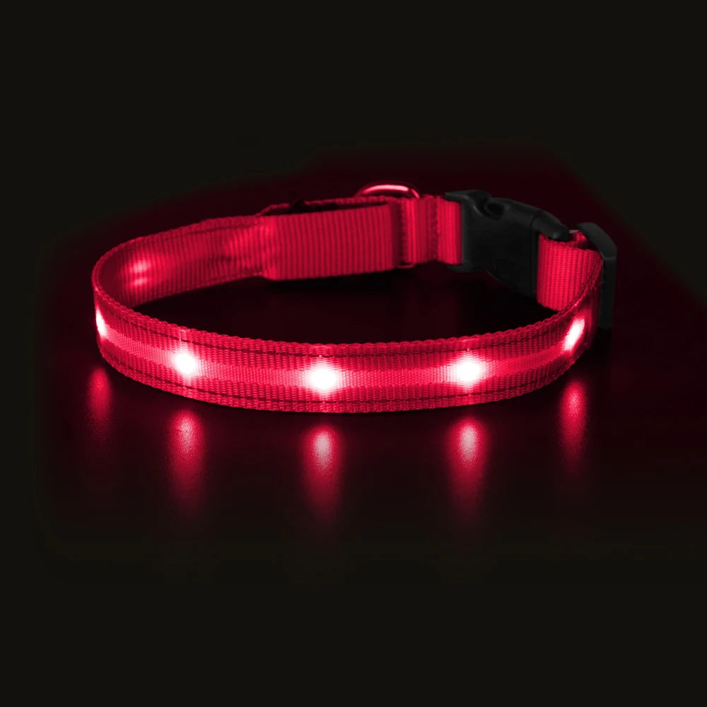 MASBRILL Waterproof LED Dog Collar USB Rechargeable Adjustable Night Safety