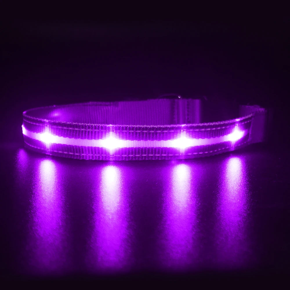 MASBRILL Waterproof LED Dog Collar USB Rechargeable Adjustable Night Safety