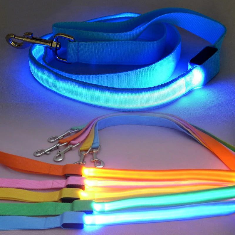 LED Dog Leash Light Nylon Night Safety Leash for Small Dogs and Cats