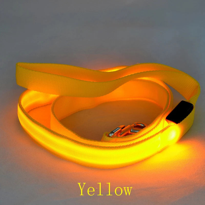 LED Dog Leash Light Nylon Night Safety Leash for Small Dogs and Cats