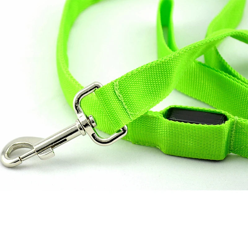 LED Dog Leash Light Safety Flashing Nylon Lead for Dogs and Cats in All Seasons