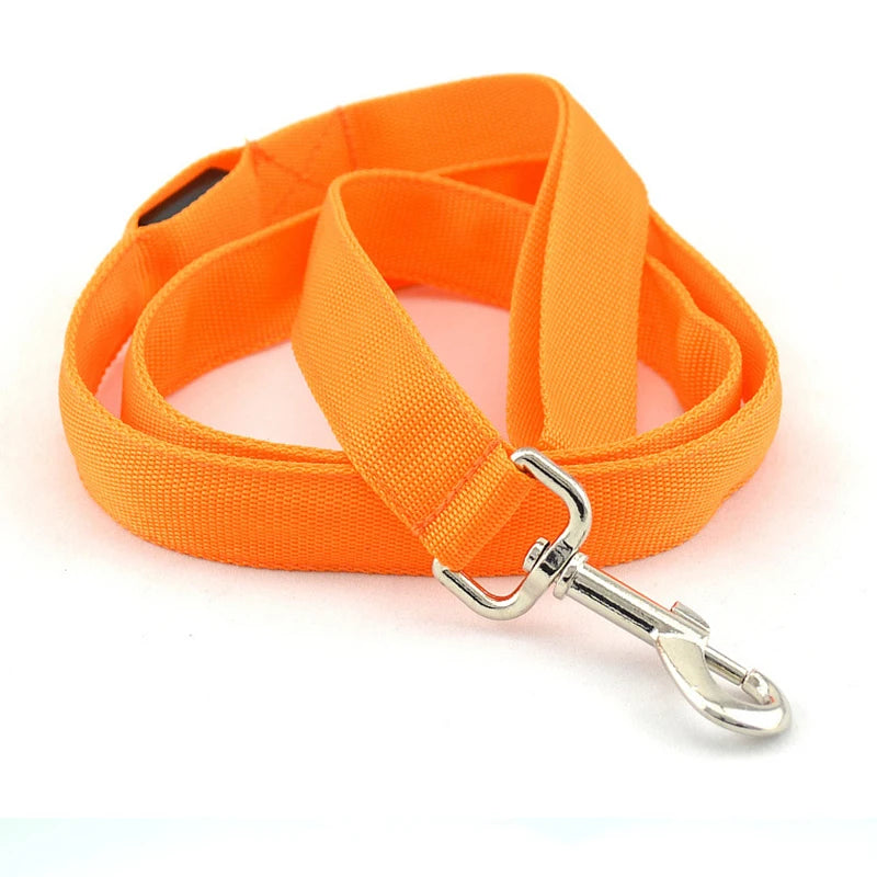 LED Dog Leash Light Nylon Night Safety Leash for Small Dogs and Cats