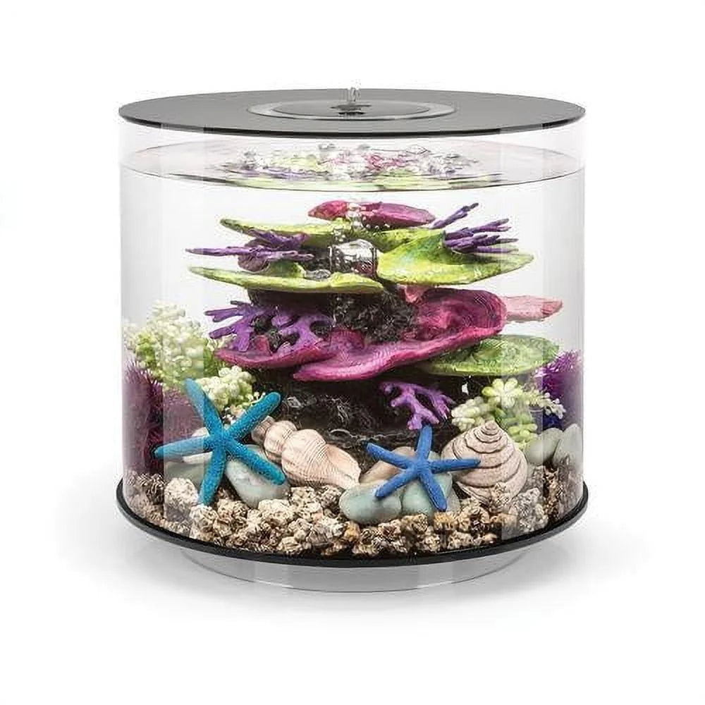 4 Gallon Acrylic Fish Tank with LED Light and Quiet Pump