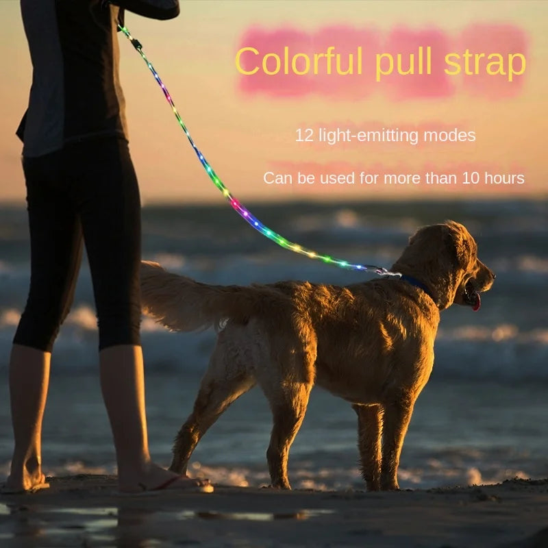 Colorful LED Dog Leash with USB Charging Light for Outdoor Adventures