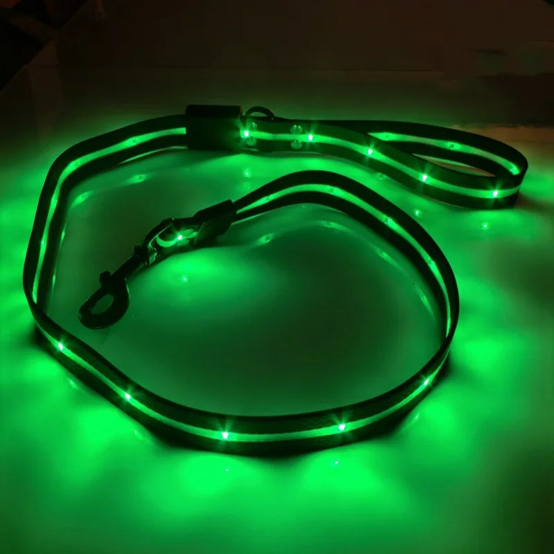 Colorful LED Dog Leash with USB Charging Light for Outdoor Adventures