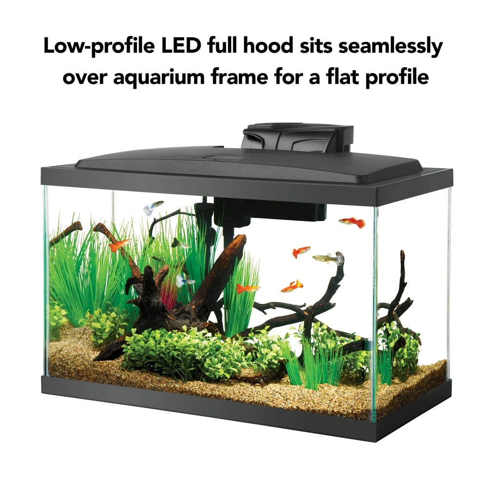 10 Gallon Glass Aquarium Starter Kit With LED Light