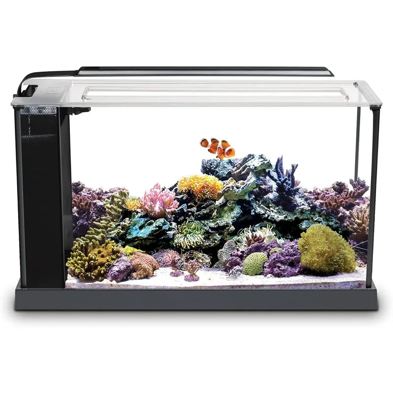 Fluval Sea Evo V 5 Gallon Saltwater Fish Tank Aquarium Kit in Black