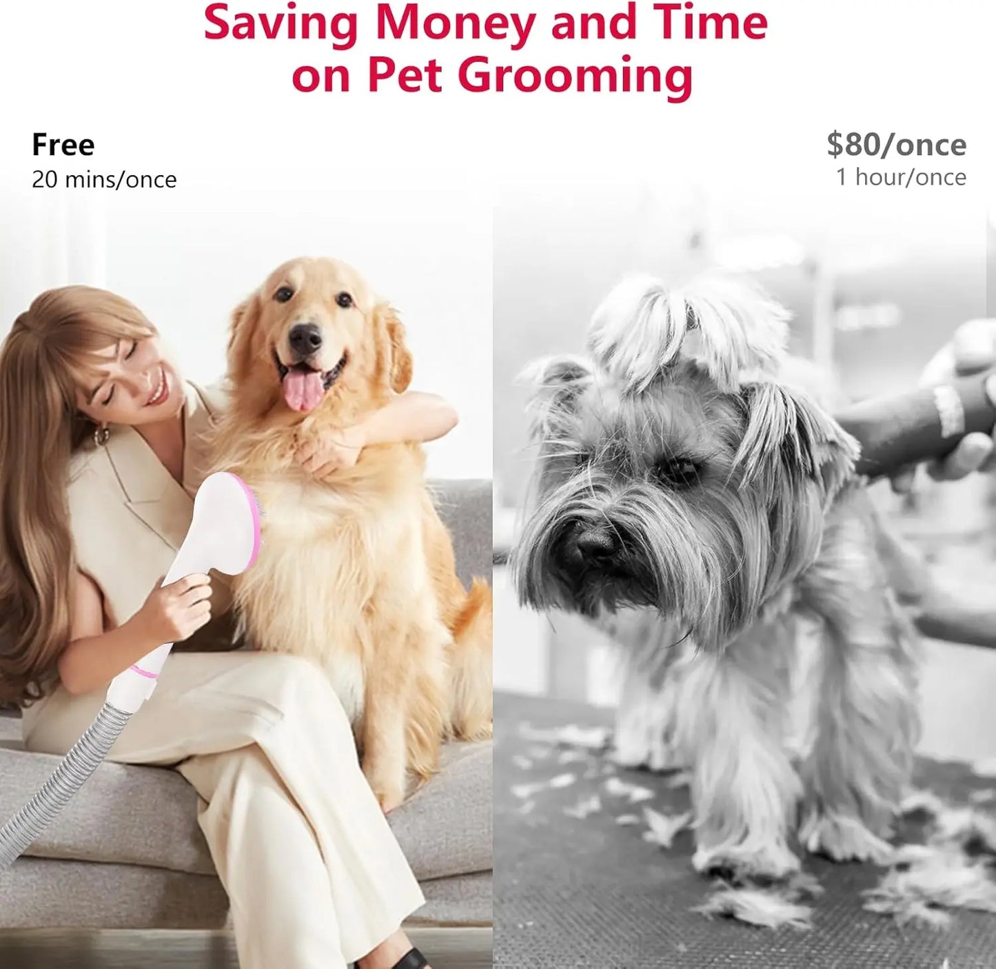 Pet Grooming Vacuum Multi Functional Dog Hair Groomer for Dogs and Cats