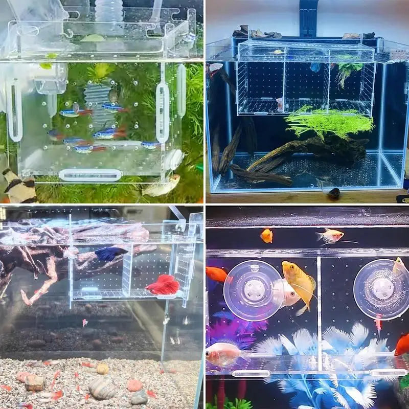 Acrylic Clear Fish Breeder Box For Aquarium Suction Cup