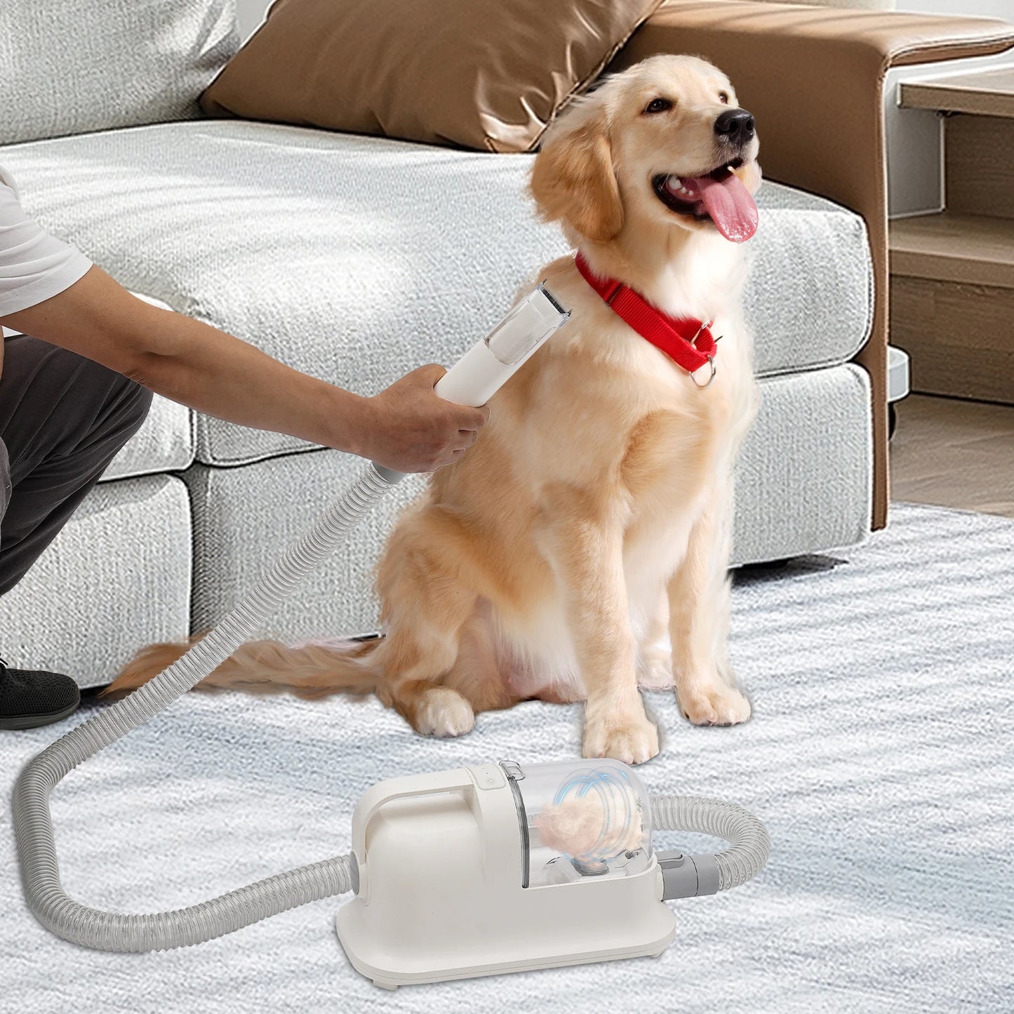 Pet Hair Grooming Tool Set with Low Noise Trimmer Combing and Suction Power