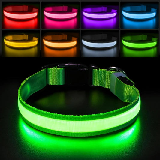 Waterproof LED Light Up Dog Collar for All Sizes Stylish and Safe at Night