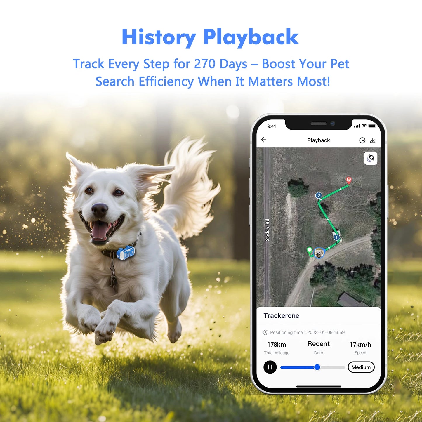 4G Dog Cat GPS Tracker Waterproof Smart Locator with Live Tracking App