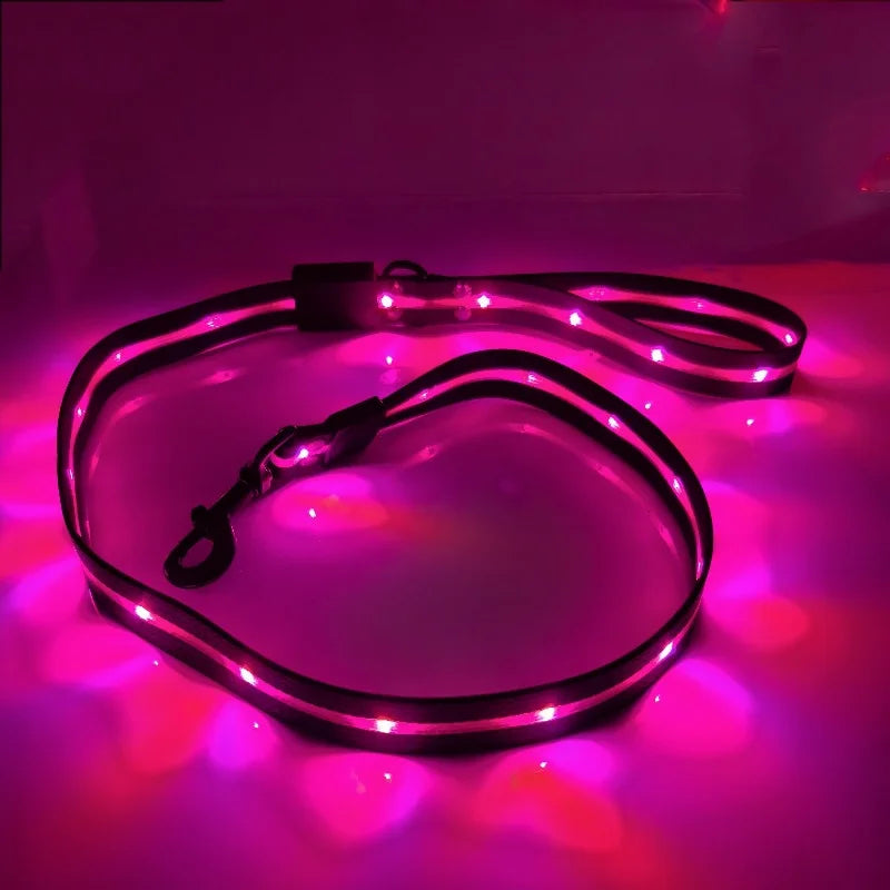 Colorful LED Dog Leash with USB Charging Light for Outdoor Adventures