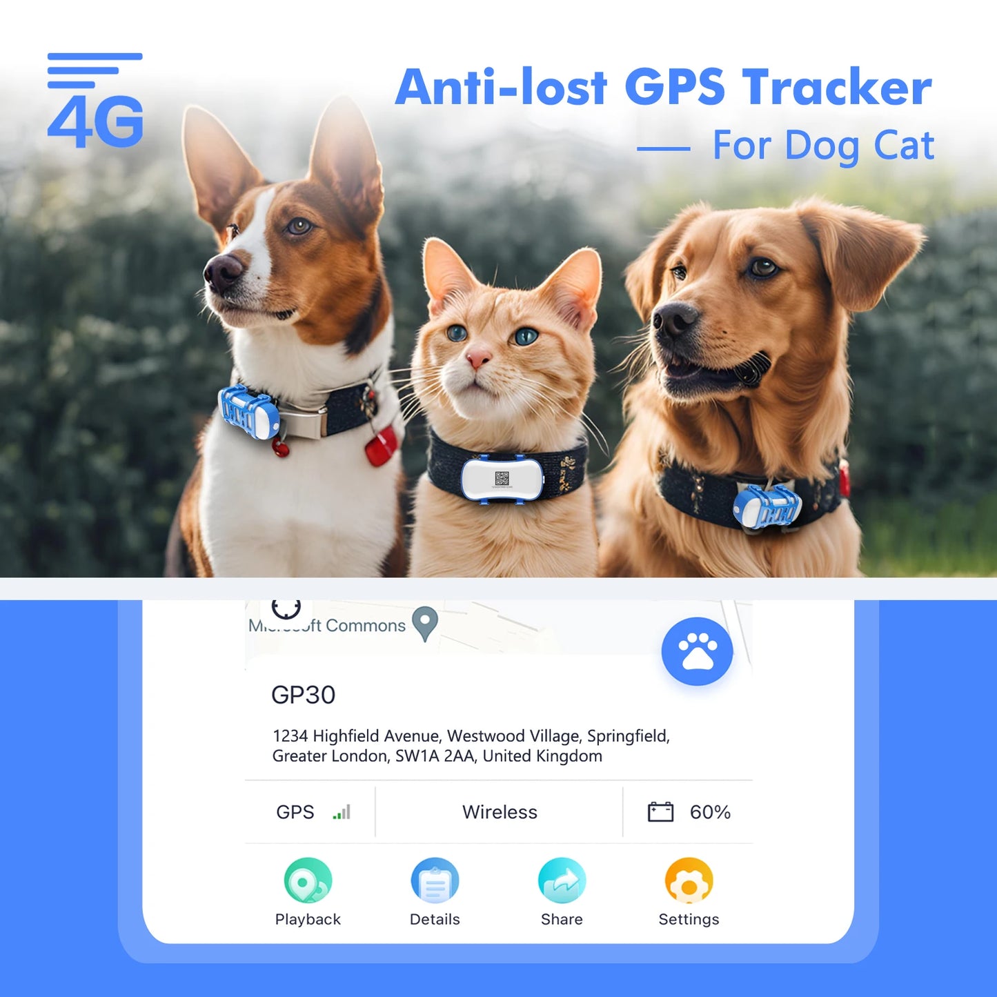 4G Dog Cat GPS Tracker Waterproof Smart Locator with Live Tracking App