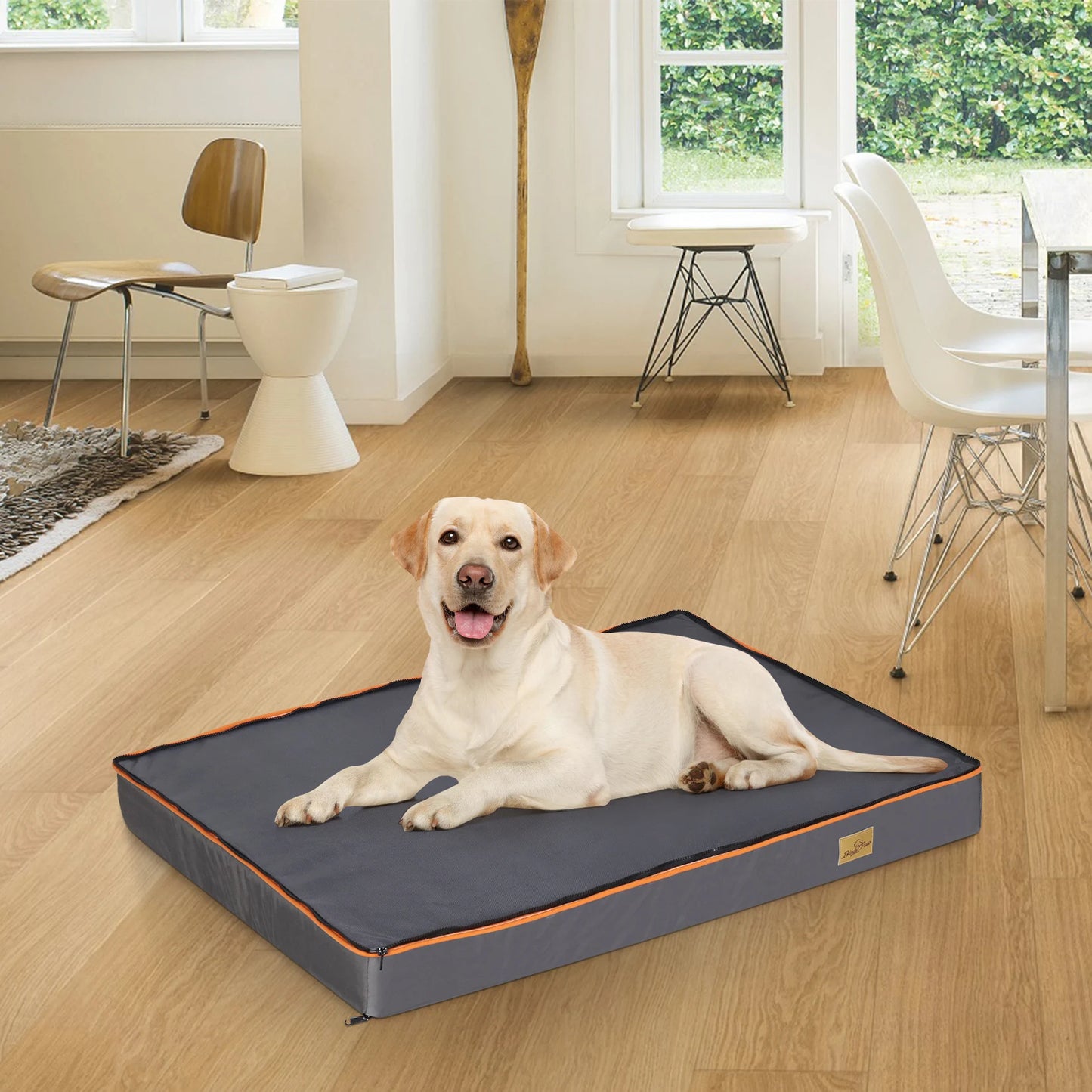 Large Orthopedic Dog Bed with Washable Cover and Padded Foam Cushion
