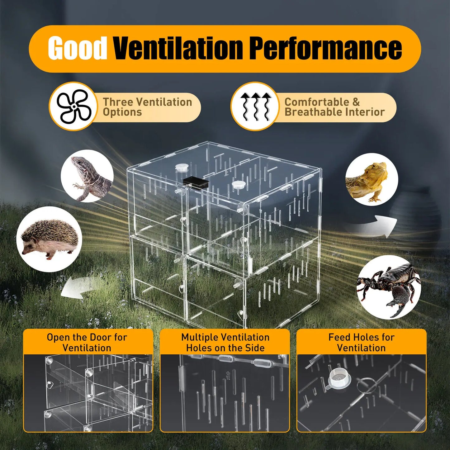 4 Grids Acrylic Reptile Cage Breeding Terrarium Clear Tank