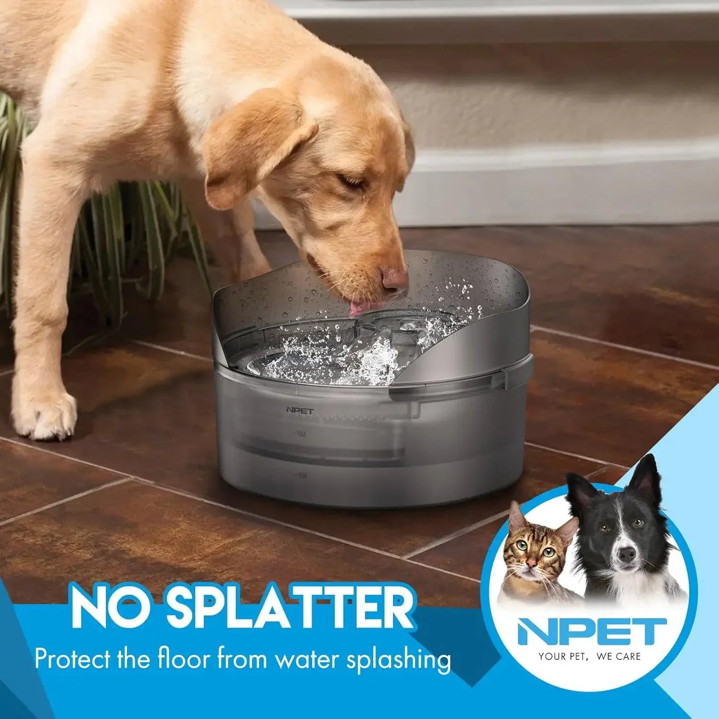 NPET DF10-SG Large Automatic Dog Water Fountain 1.3 Gallon with Splatter Guard