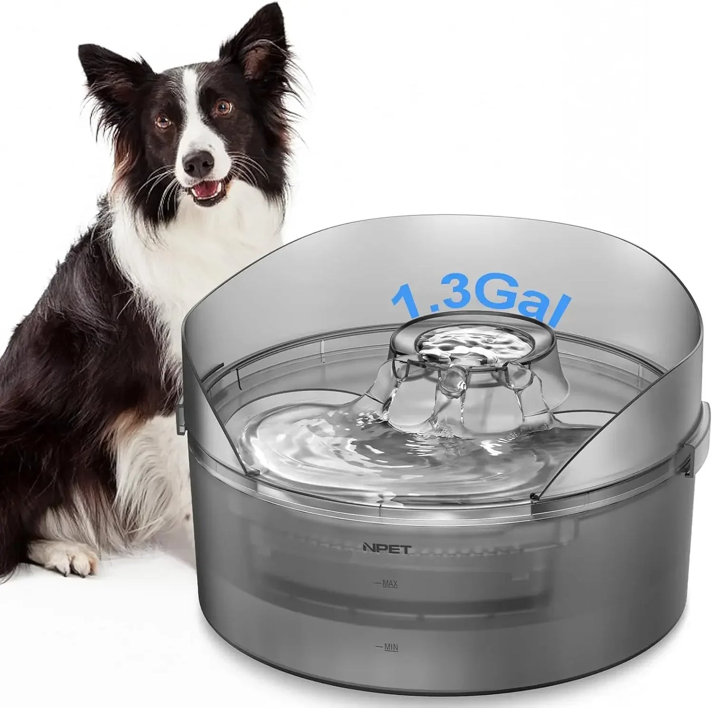 NPET DF10-SG Large Automatic Dog Water Fountain 1.3 Gallon with Splatter Guard