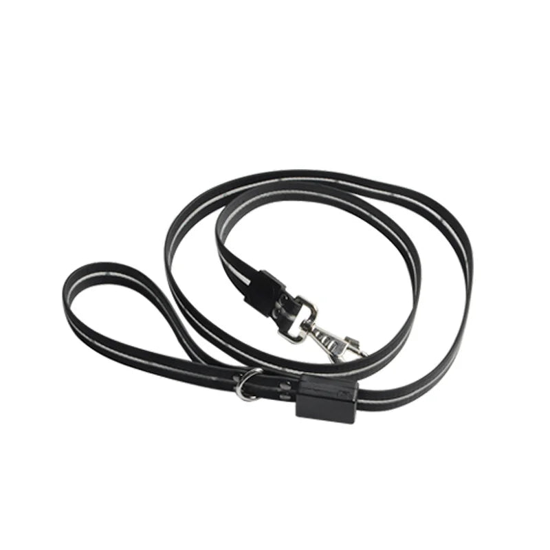 Colorful LED Dog Leash with USB Charging Light for Outdoor Adventures