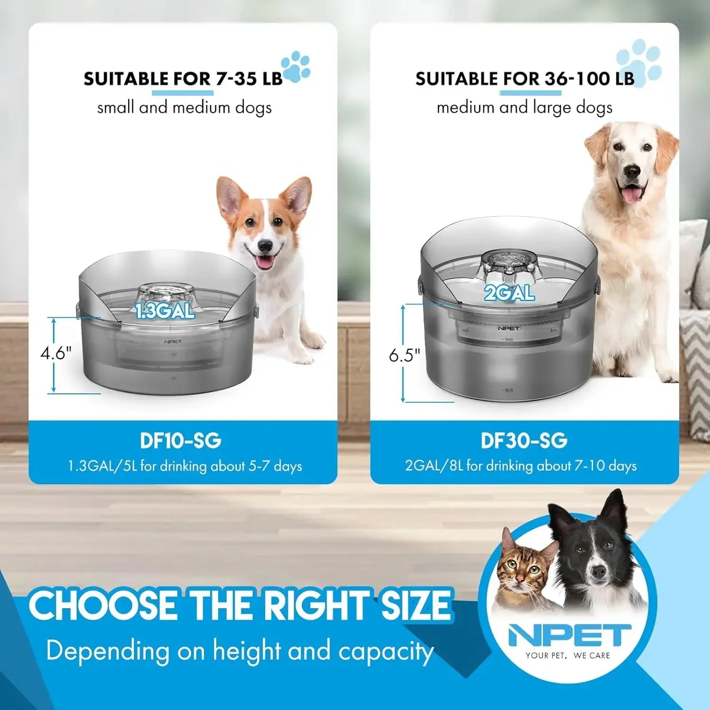 NPET DF10-SG Large Automatic Dog Water Fountain 1.3 Gallon with Splatter Guard