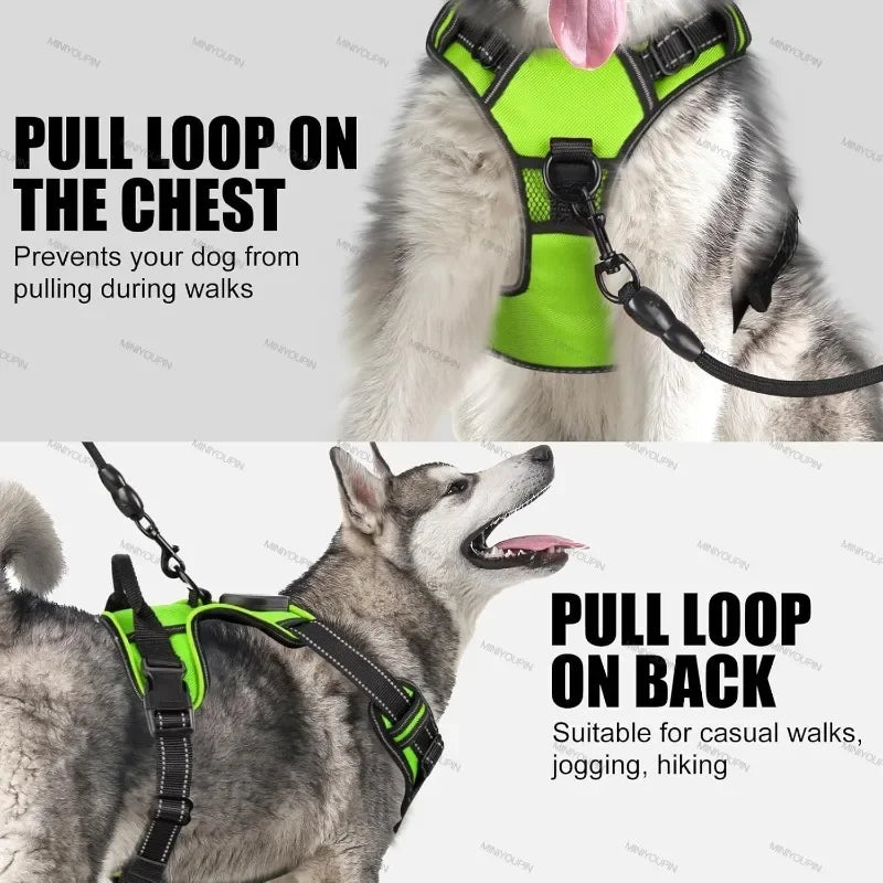 LED Dog Harness with USB Rechargeable Lights for Safe Night Walking