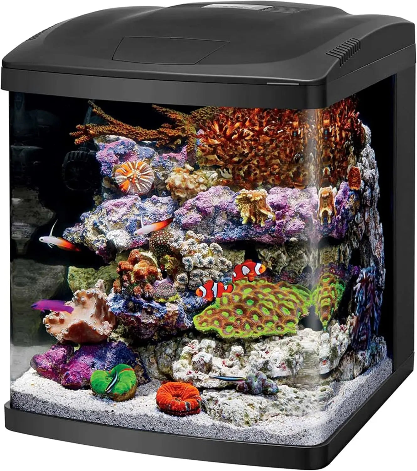 LED 32 Gallon Aquarium Fish Tank Kit for Marine and Plants