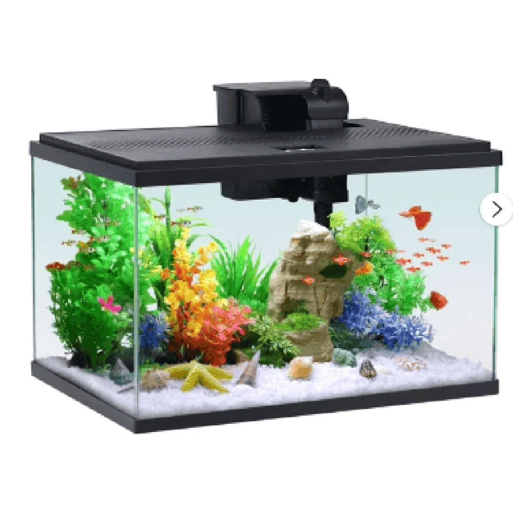 10 Gallon Glass Aquarium Starter Kit With Filter And LED