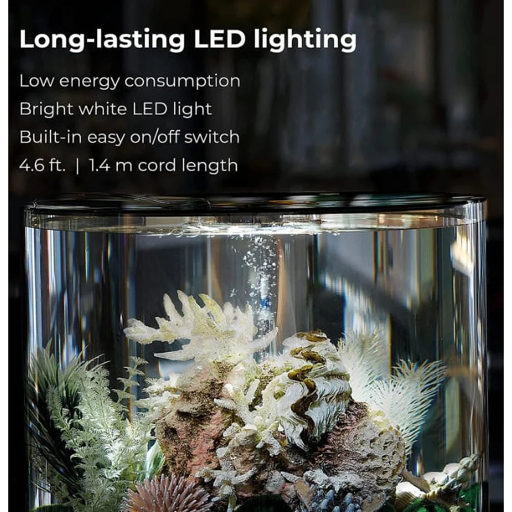 4 Gallon Acrylic Fish Tank with LED Light and Quiet Pump