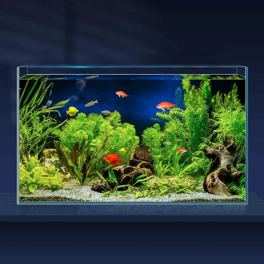 10 Gallon Ultra Clear Rimless Glass Betta Aquarium Tank