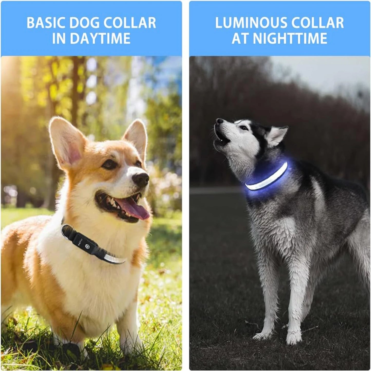 Waterproof LED Light Up Dog Collar for All Sizes Stylish and Safe at Night